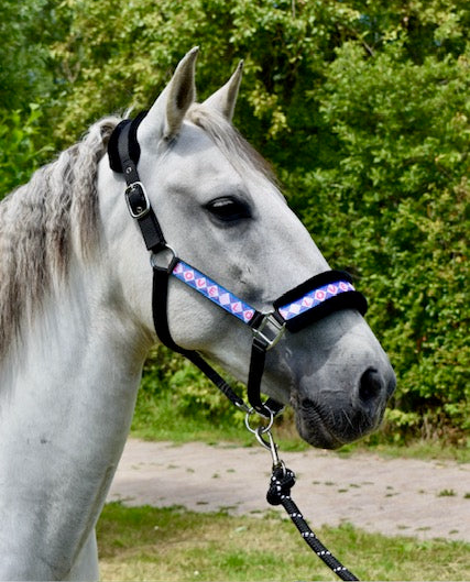 Happy Halsters x FMH - Love is Love Exclusive halter (coloured)