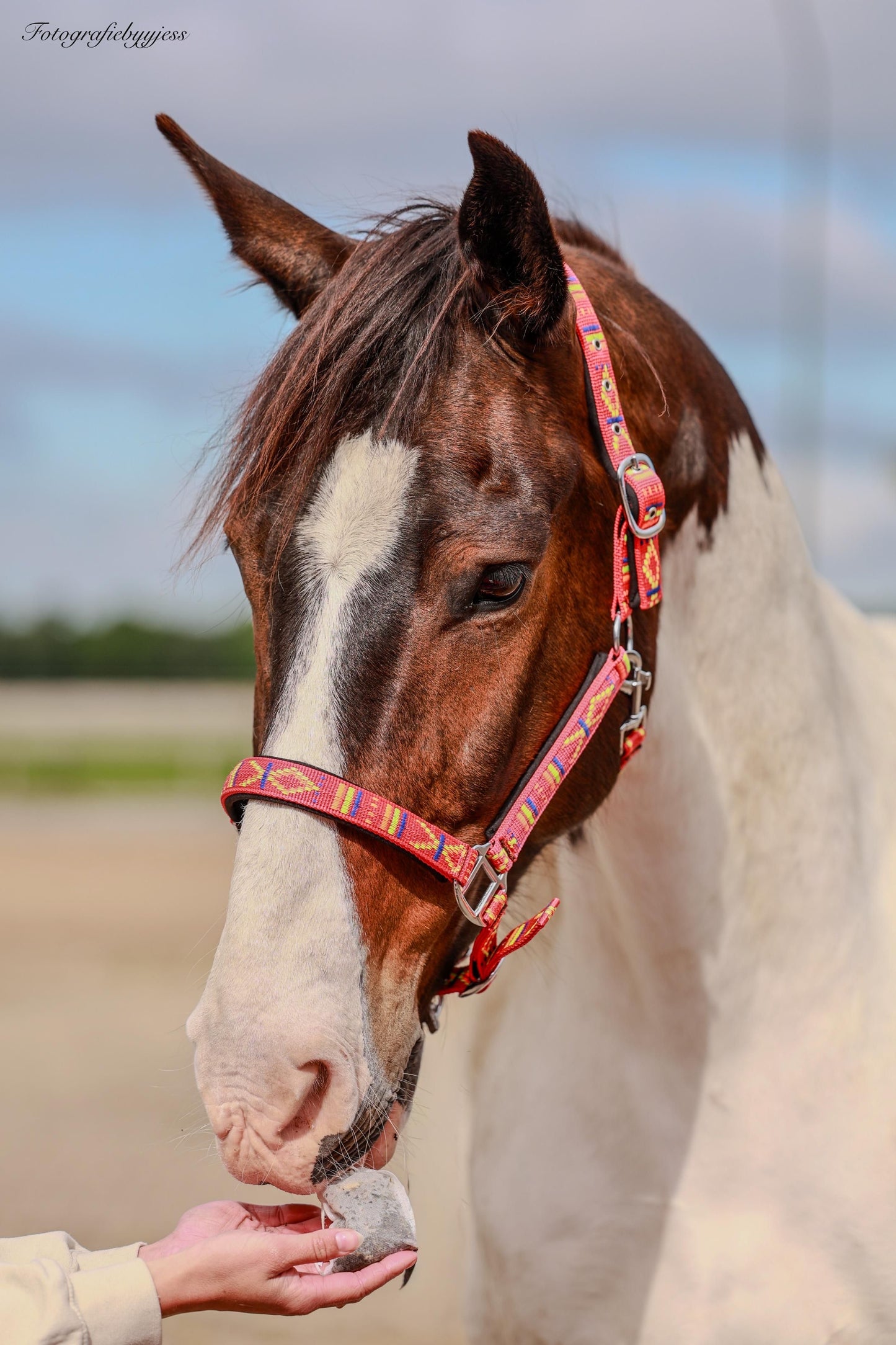 FMH - Besticktes Nylonhalfter mit Polsterung „Nomad Spirit“ Rot