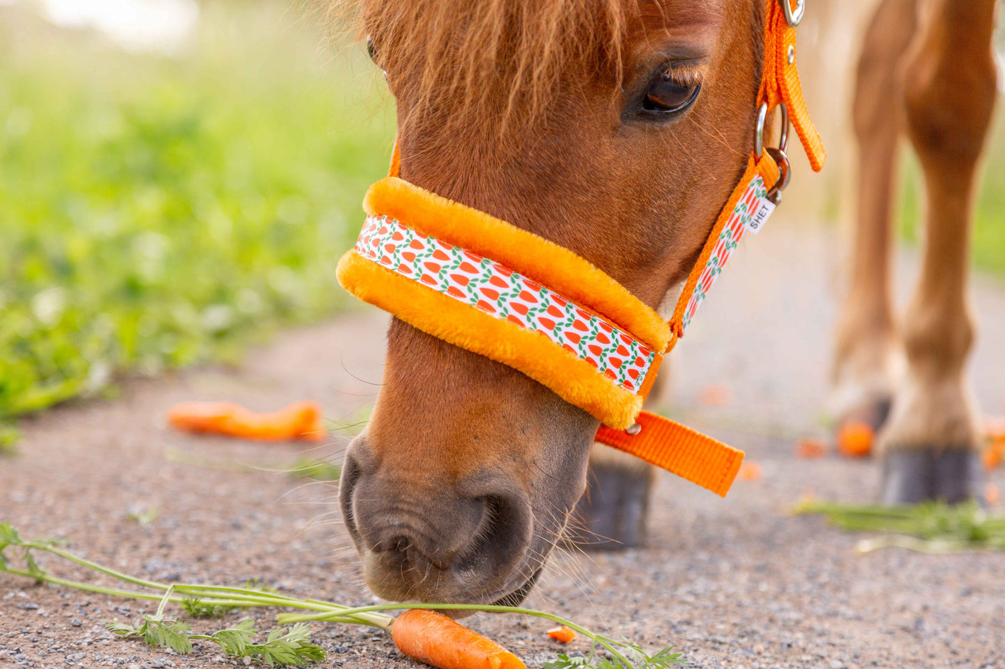 Happy Halsters - Orange carrot halter fur