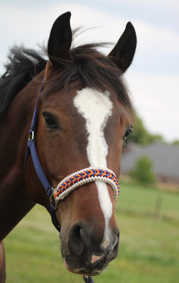 Handgemaakte paardenhalsters - Geknoopt halster ‘Kristy’ donkerblauw/ oranje
