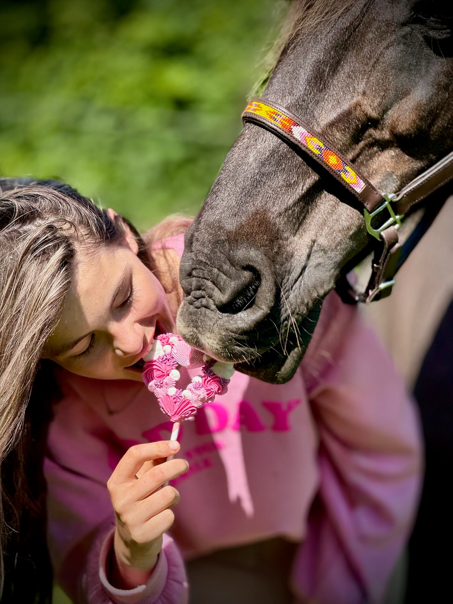 Candy Horse - Lolly