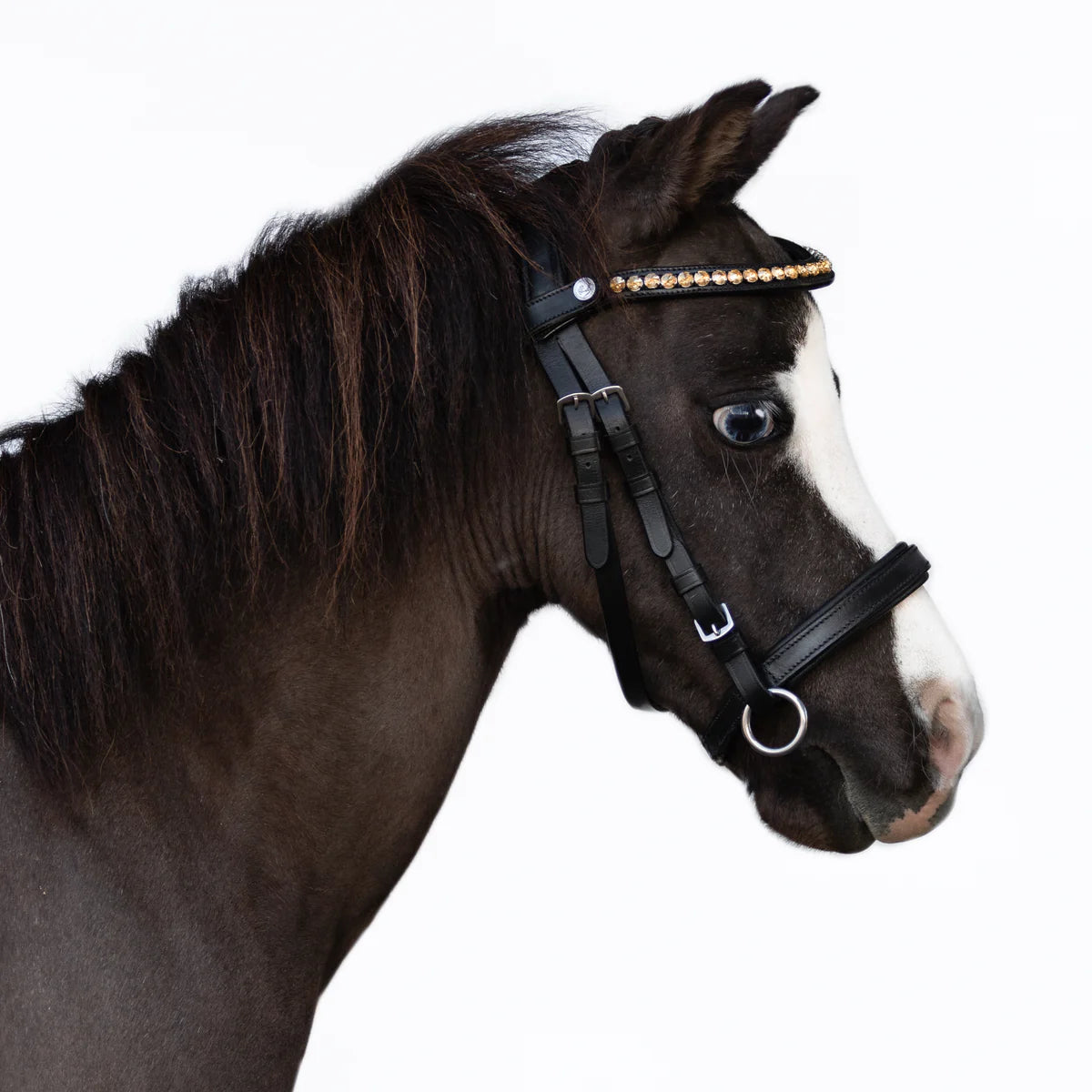 Lumi Pony - Iddy Biddy bitloos hoofdstel