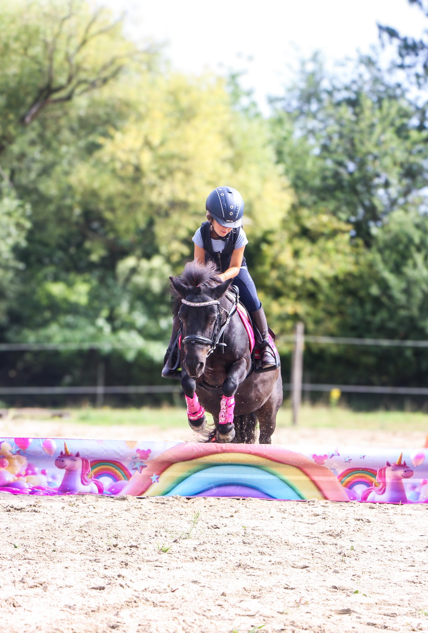 Jumpbanners - Hinderniszeil Bixie Unicorn Dreams