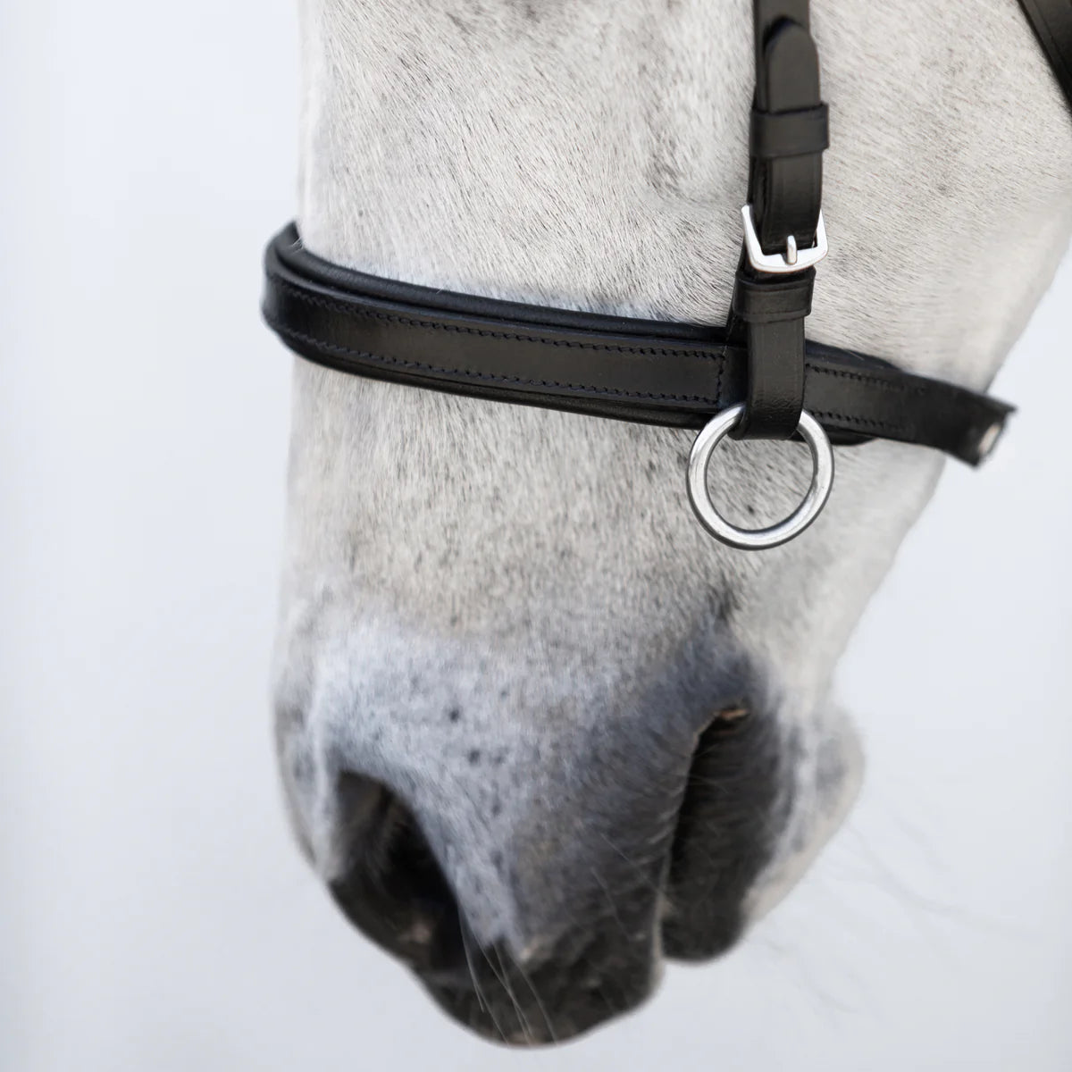 Lumi Pony - Iddy Biddy bitloos hoofdstel