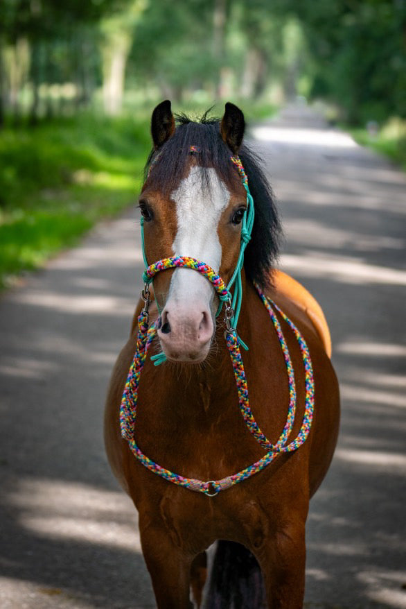 Horse Rope Shop - Neckrope ‘Rainbow’