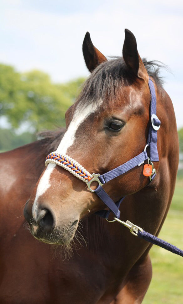 Handgemaakte paardenhalsters - Geknoopt halster ‘Kristy’ donkerblauw/ oranje