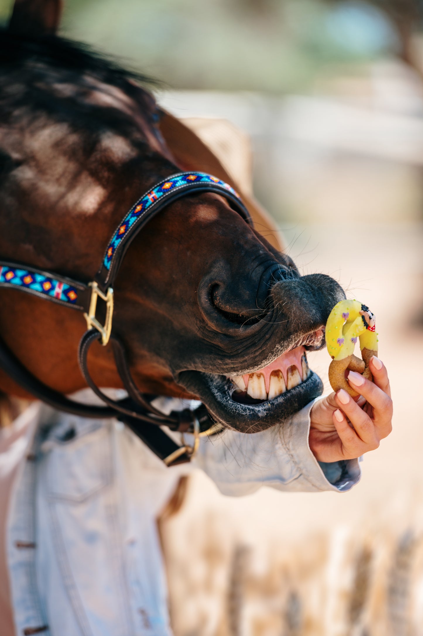 OP=OP - Candy Horse - The Farm Limited Collection - Versierde pretzels