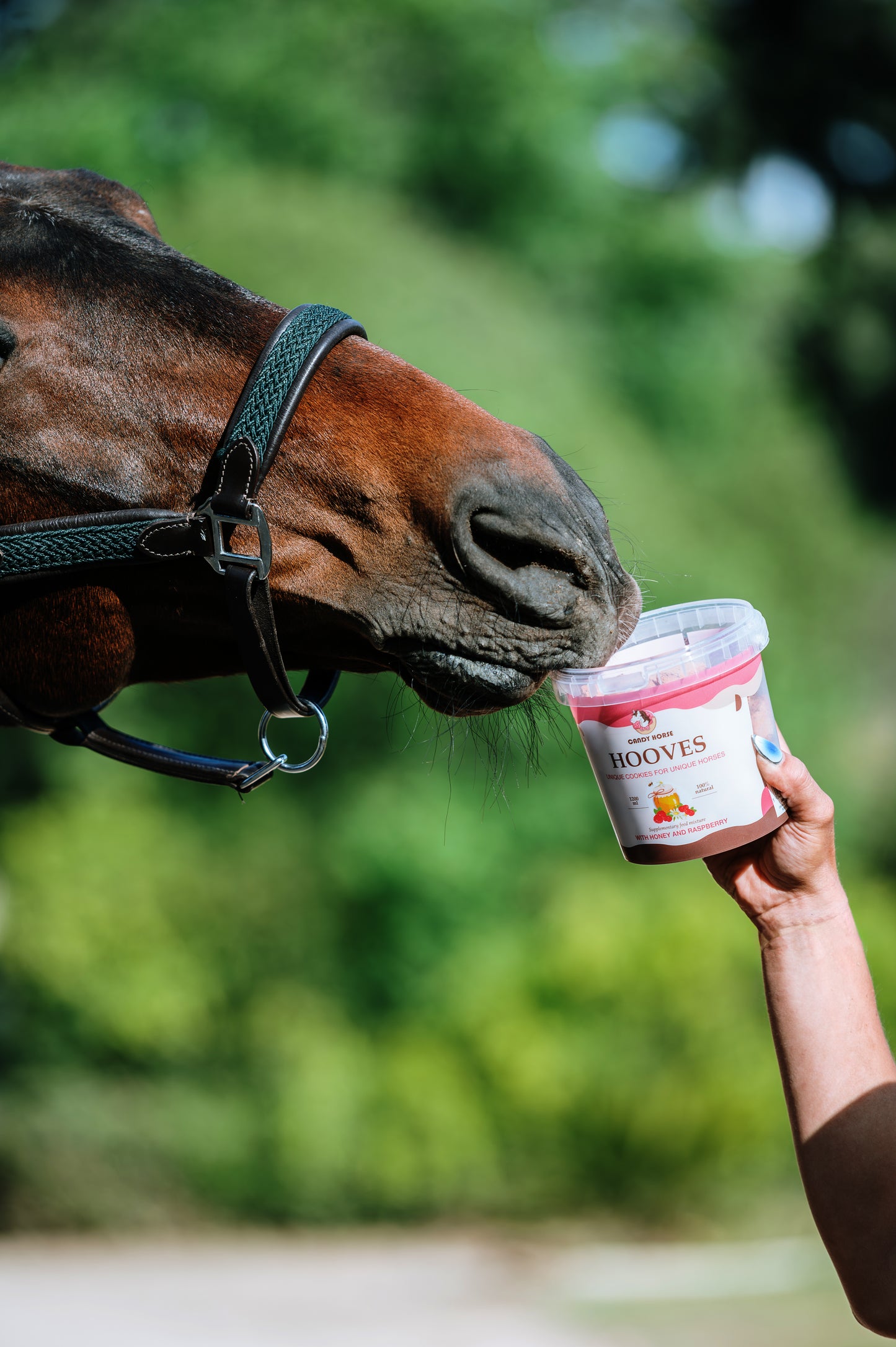 Candy Horse - Pferdekekse Hufe im Eimer 1,2L