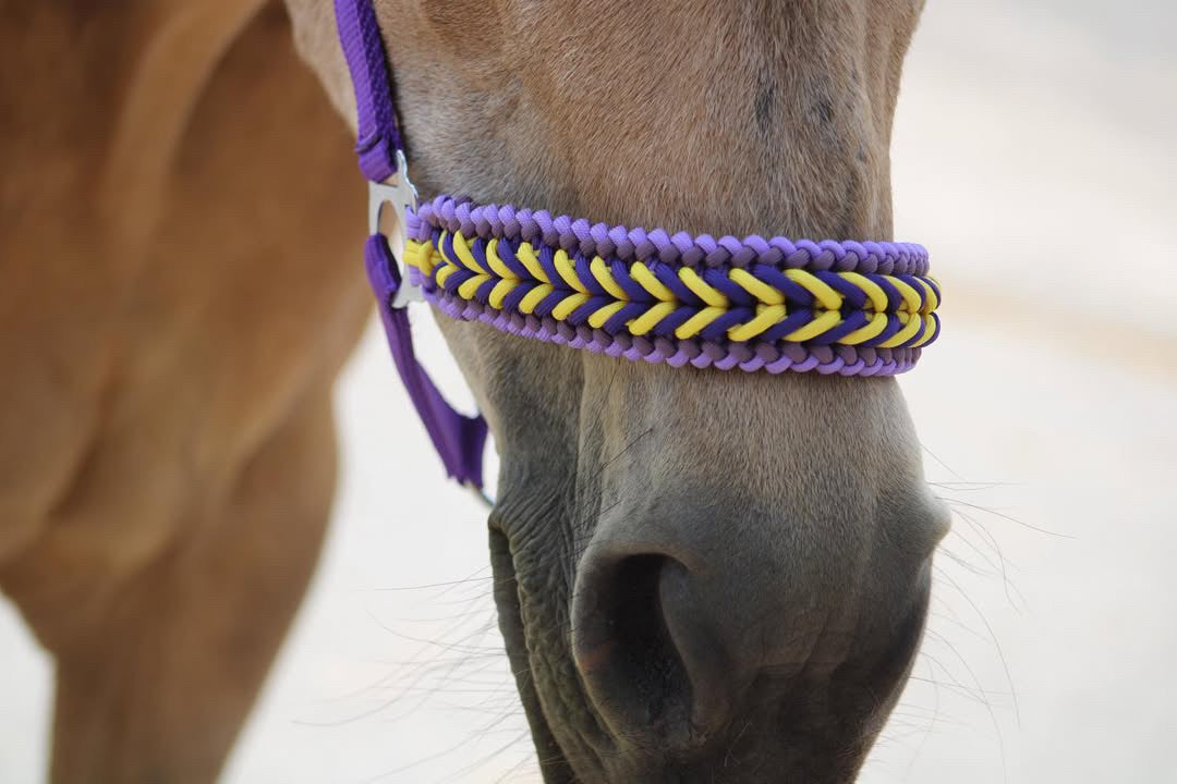 Handgemaakte paardenhalsters - Geknoopt halster ‘Followmyhooves’ paars/ geel