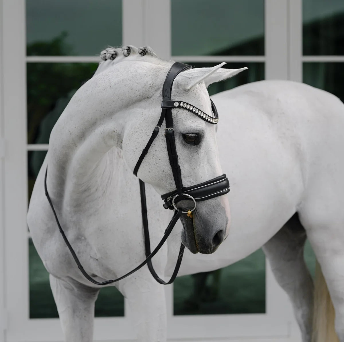 Lumiere - Luxe Cavesson hoofdstel 'Diva'