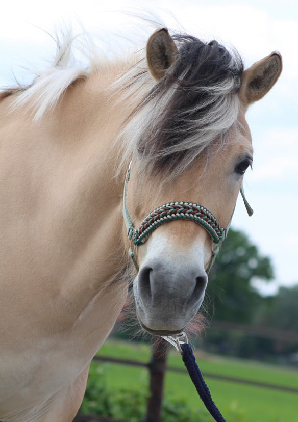 Handgemaakte paardenhalsters - Geknoopt halster ‘Natural’ olijf/ bruin/ beige