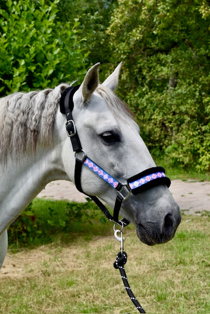 Happy Halsters x FMH - Love is Love Exclusive halter (coloured)