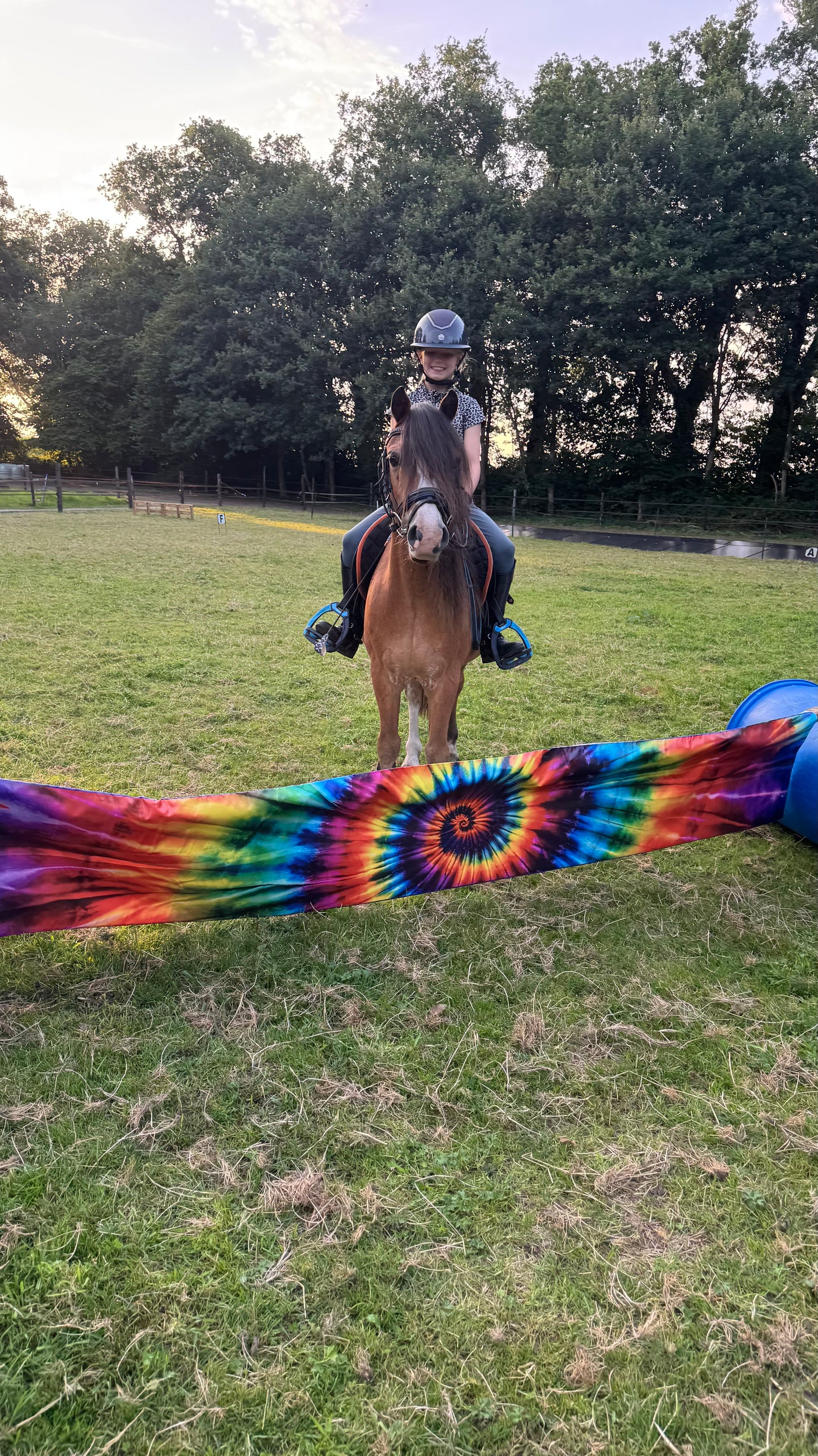 Jumpbanners - Hinderniszeil Bixie Tie-Dye