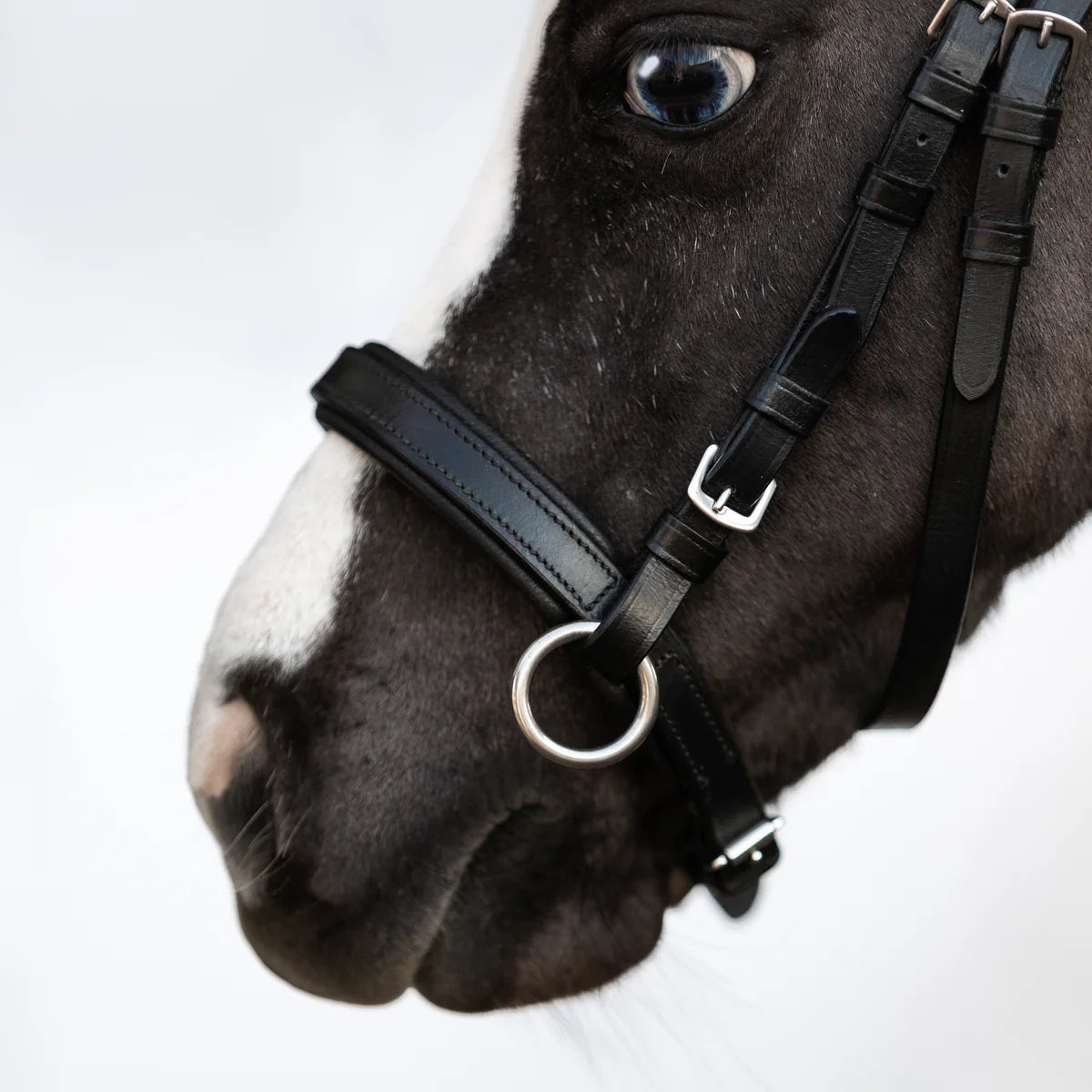 Lumi Pony - Iddy Biddy bitloos hoofdstel