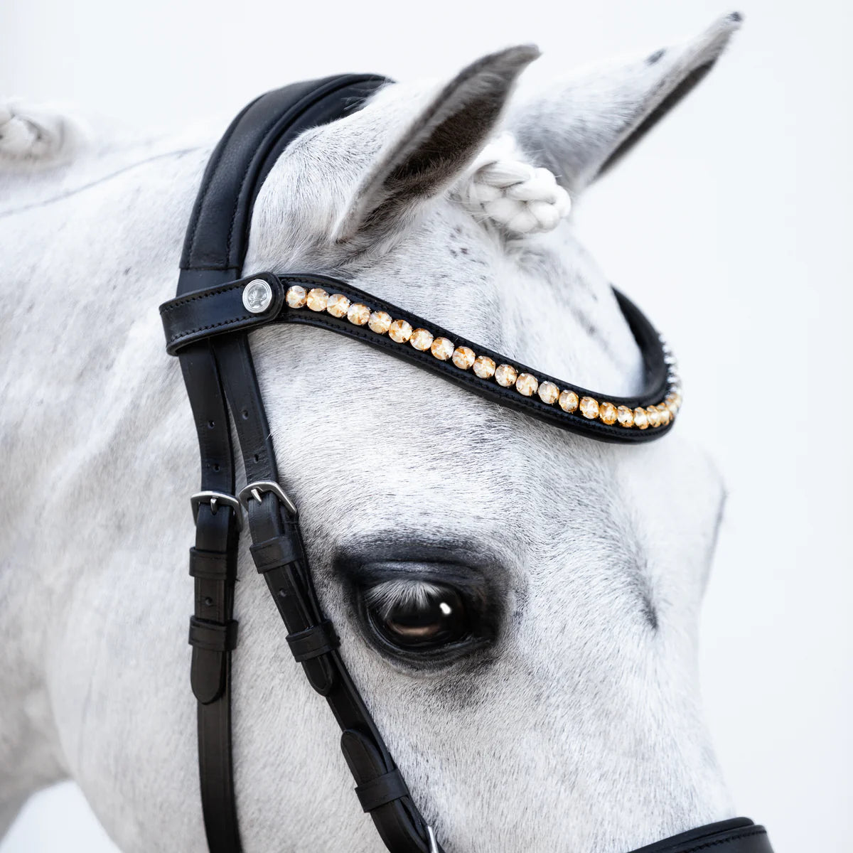 Lumi Pony - Iddy Biddy bitloos hoofdstel
