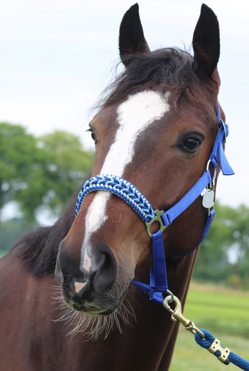 Handgemaakte paardenhalsters - Geknoopt halster ‘Feeling Blue’ blauwmix