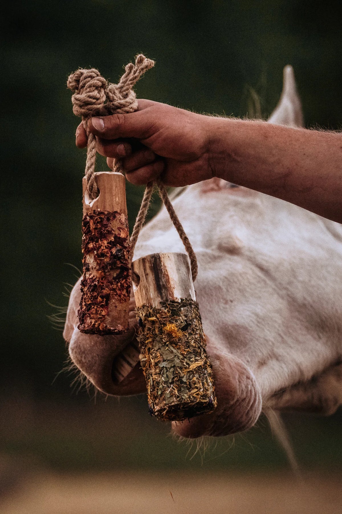 HippieHorses - Knabbelstam met kruiden voor paarden Pink Pony mix