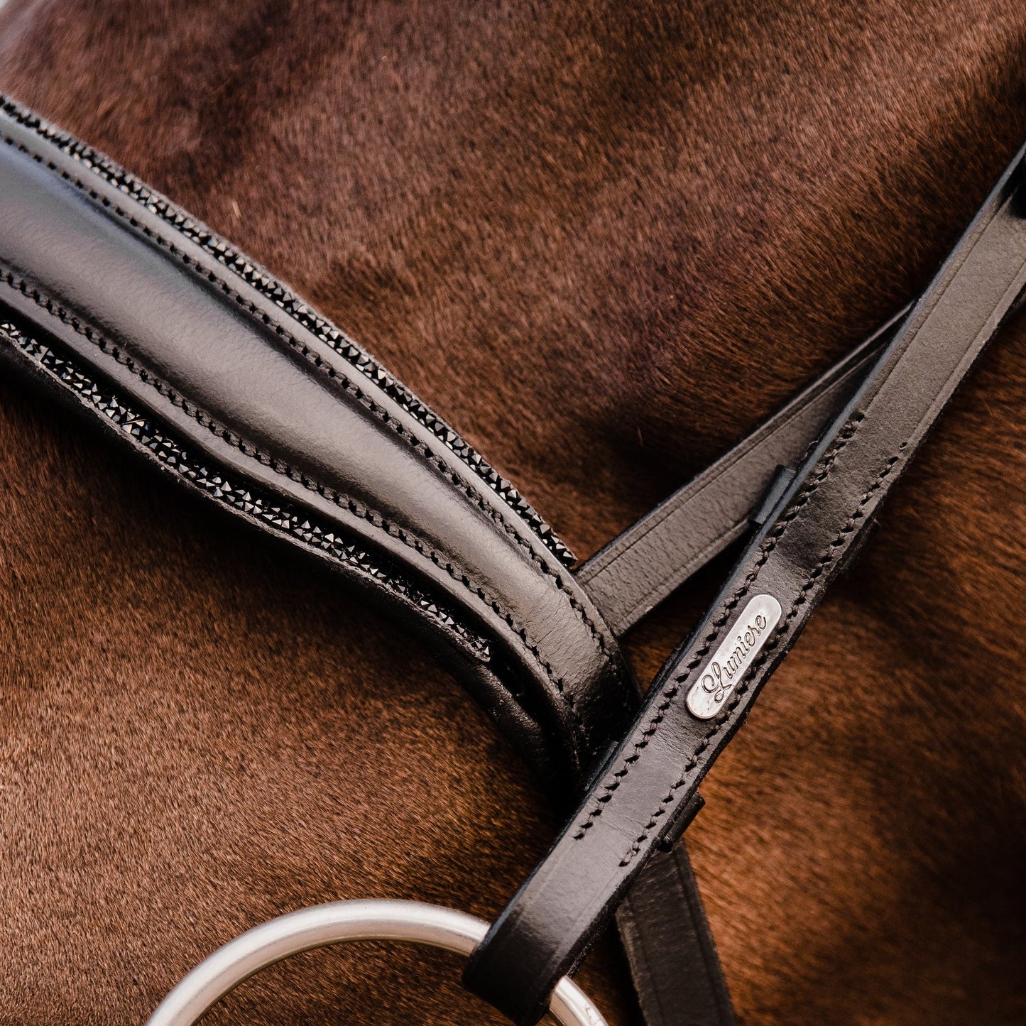 Lumiere/ Lumi Pony - Luxe Hanoverian hoofdstel 'Arcadia'