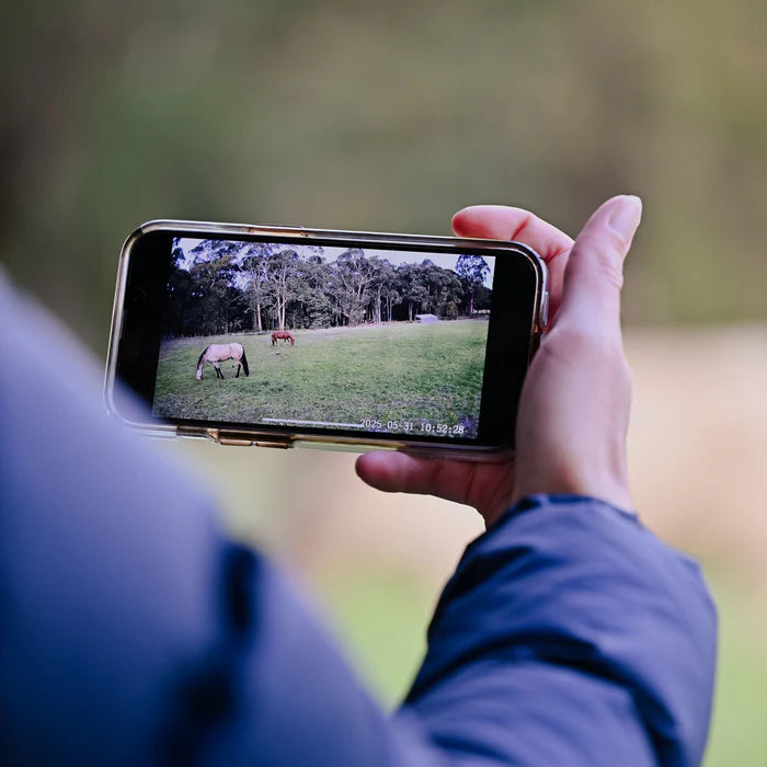 Equine Eye - Stal en weidecamera Vision (4G camera)
