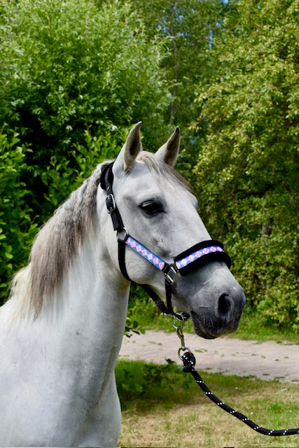 Happy Halsters x FMH - Love is Love Exclusive halter (coloured)