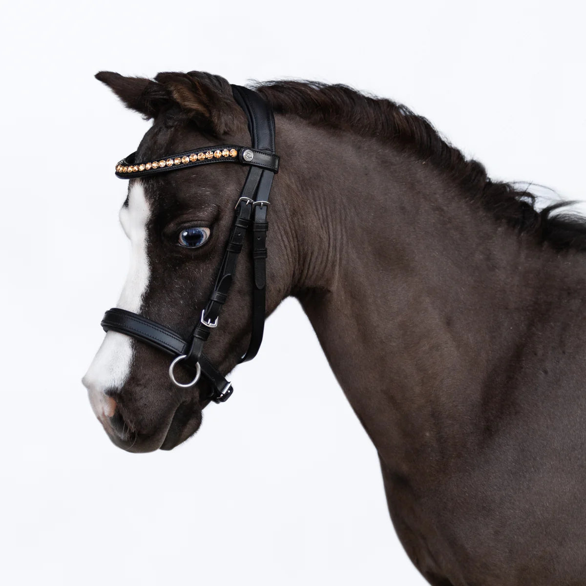 Lumi Pony - Iddy Biddy bitloos hoofdstel