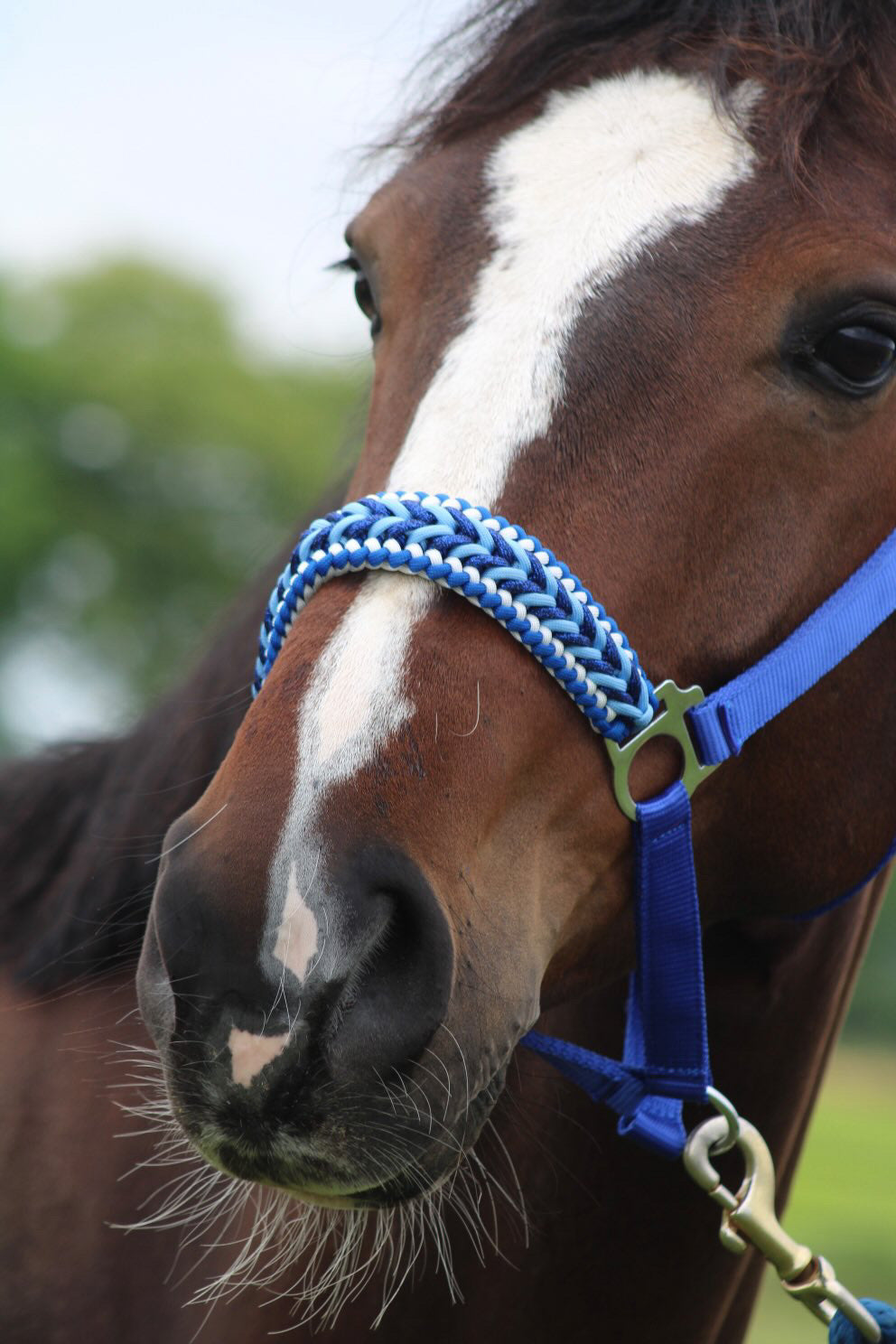 Handgemaakte paardenhalsters - Geknoopt halster ‘Feeling Blue’ blauwmix