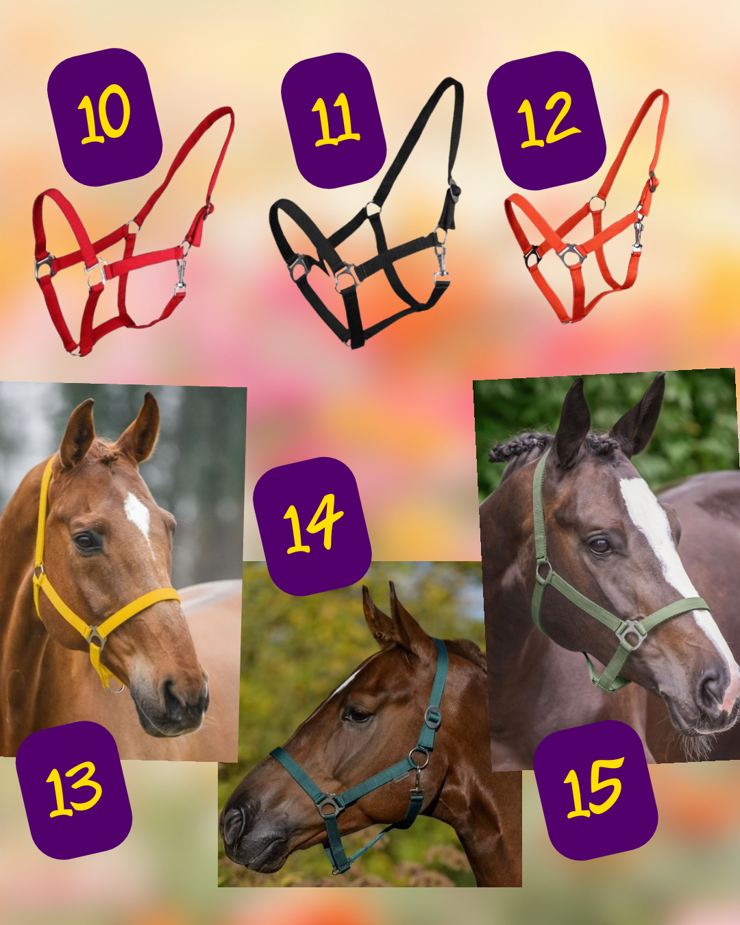 Design Your Own! - Handgemaakte Paardenhalsters - Eigen ontwerp halster
