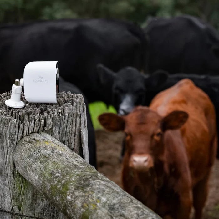 Equine Eye - Stal en weidecamera Vision (4G camera)