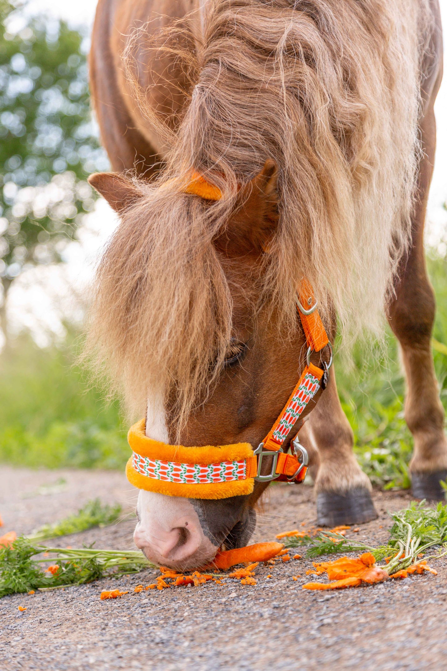 Happy Halsters - Orange carrot halter fur