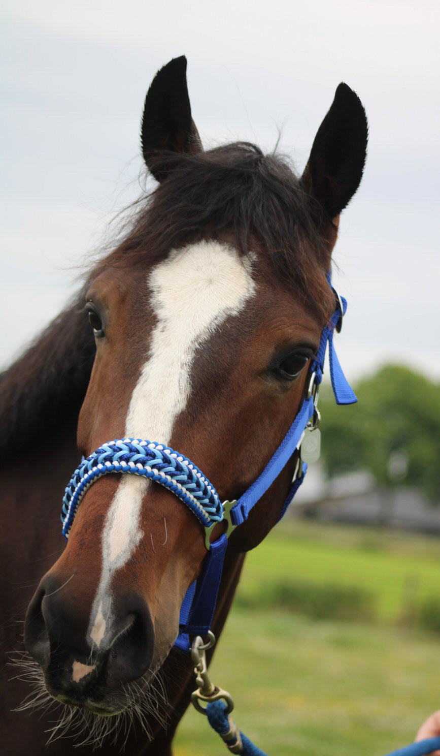 Handgemaakte paardenhalsters - Geknoopt halster ‘Feeling Blue’ blauwmix