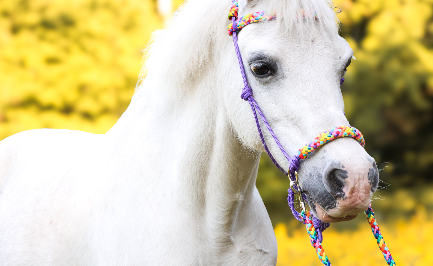 Horse Rope Shop - Touwhalster set rijhalster + teugels ‘Rainbow’ paars