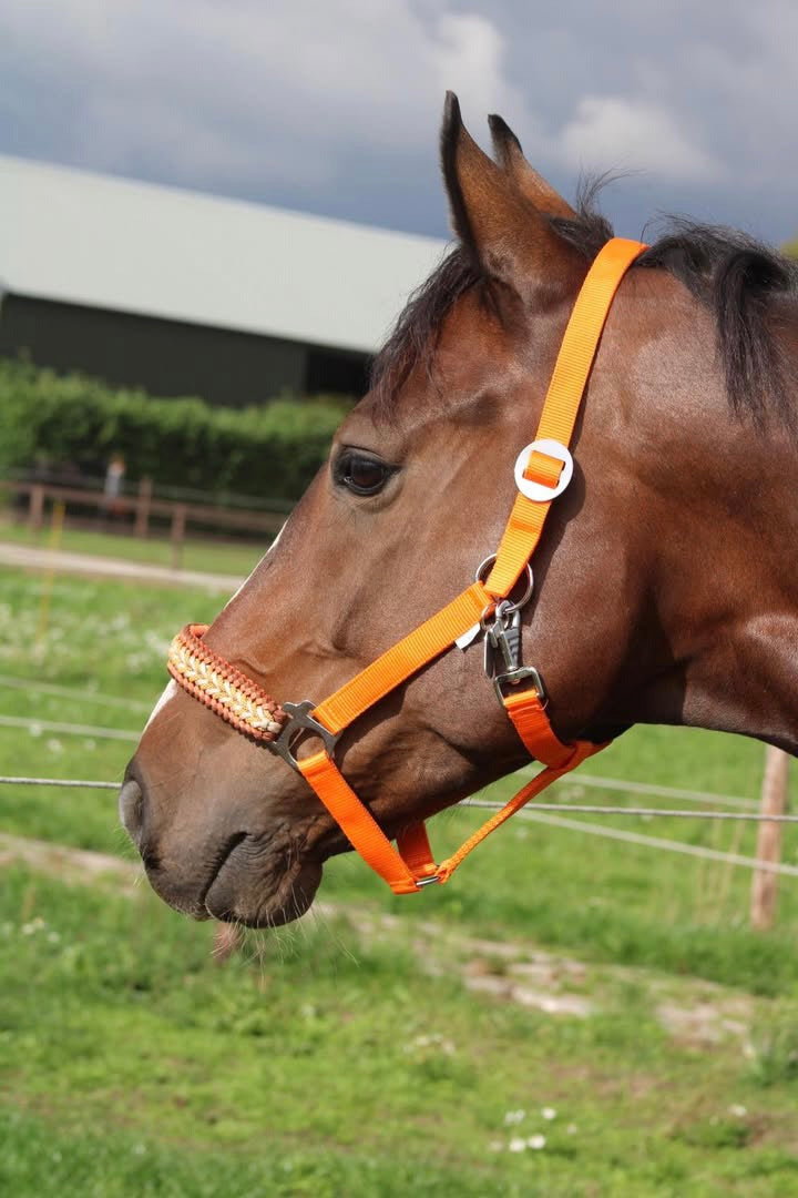 Handgemaakte paardenhalsters - Geknoopt halster ‘Desert Sun’ Oranje/ bruin
