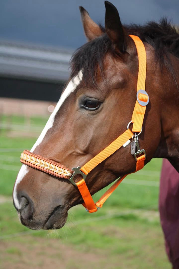 Handgemaakte paardenhalsters - Geknoopt halster ‘Desert Sun’ Oranje/ bruin