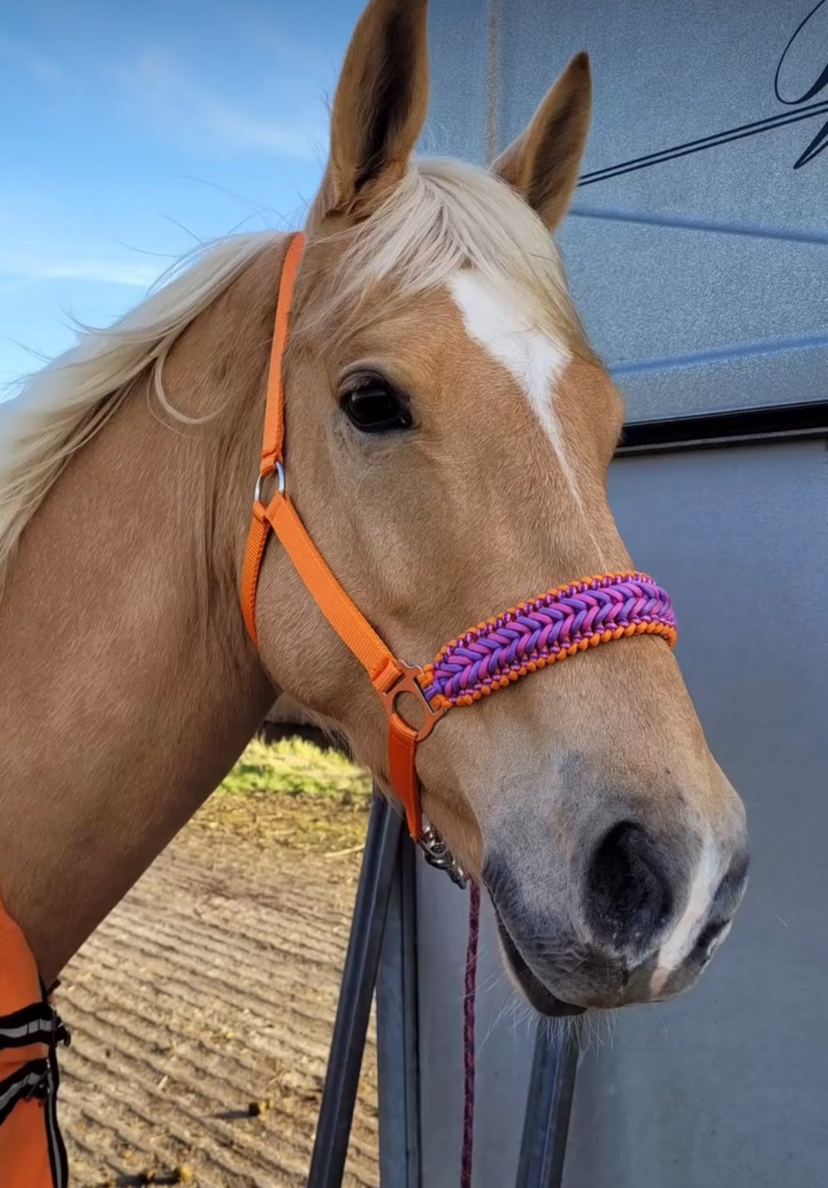 Design Your Own! - Handgemaakte Paardenhalsters - Eigen ontwerp halster
