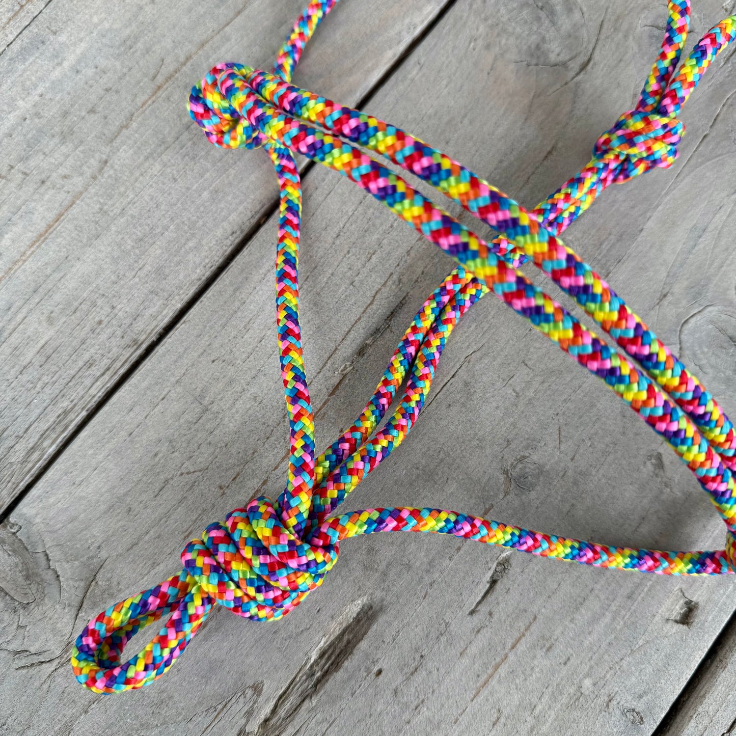 Horse Rope Shop - Touwhalster Basic Regenboog