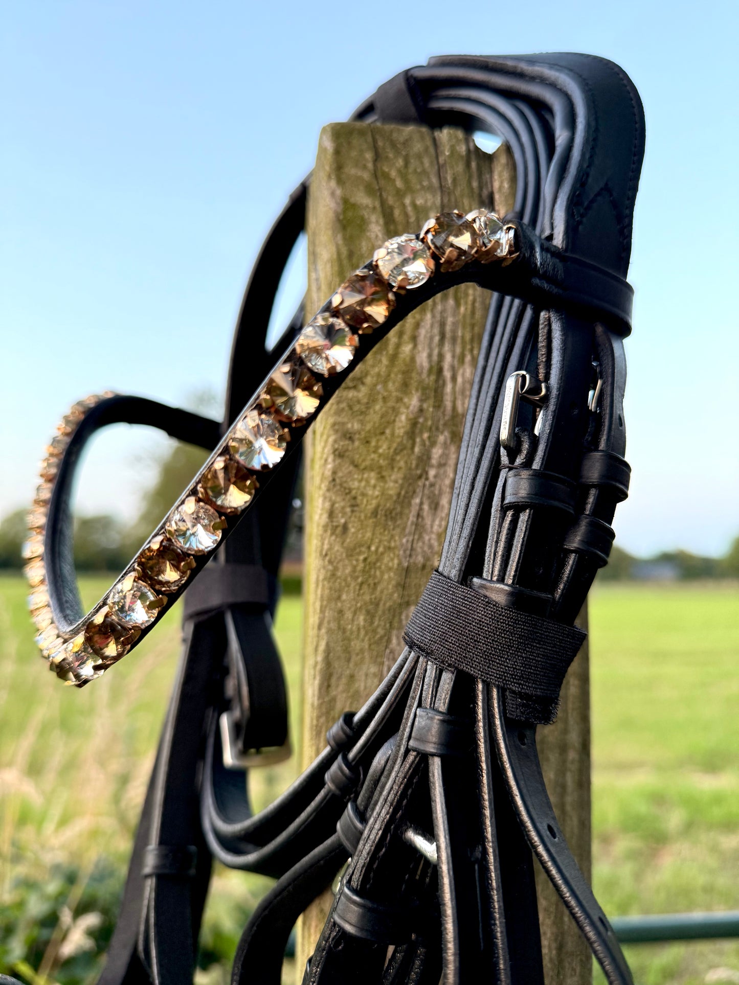 FMH - Luxe Hanoverian hoofdstel ‘You're Golden’ met dubbele neusriem goud onderlegd in bruin of zwart incl. teugels
