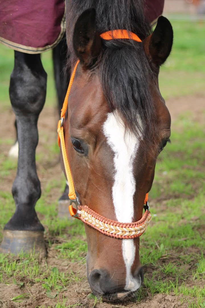 Handgemaakte paardenhalsters - Geknoopt halster ‘Desert Sun’ Oranje/ bruin