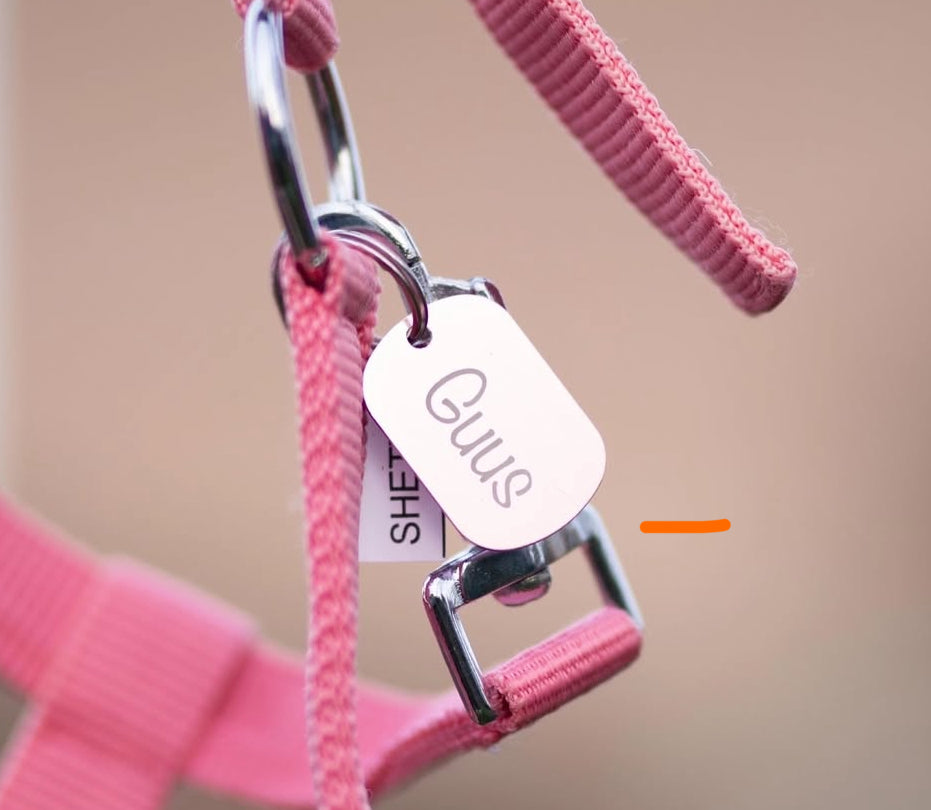 Design Your Own! - Handgemaakte Paardenhalsters - Eigen ontwerp halster