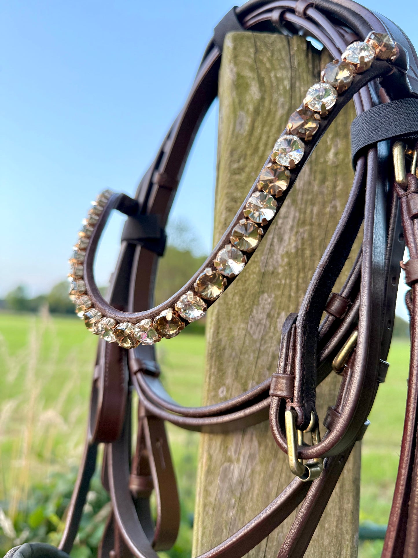 FMH - Luxe Hanoverian hoofdstel ‘You're Golden’ met dubbele neusriem goud onderlegd in bruin of zwart incl. teugels