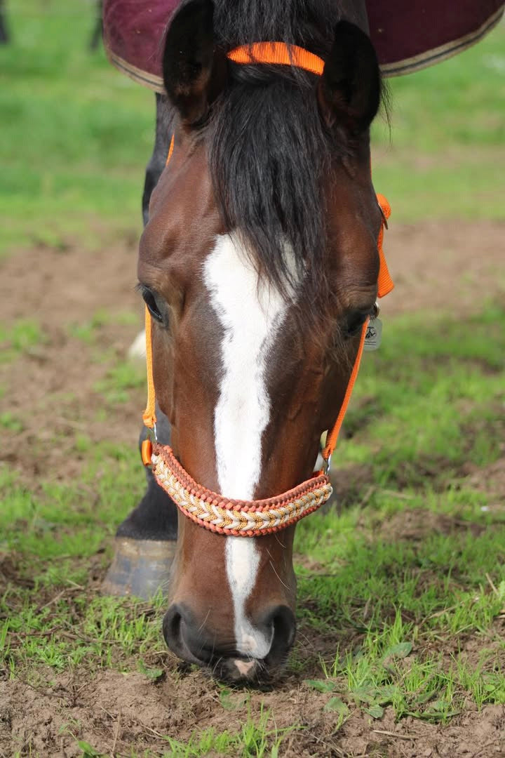 Handgemaakte paardenhalsters - Geknoopt halster ‘Desert Sun’ Oranje/ bruin