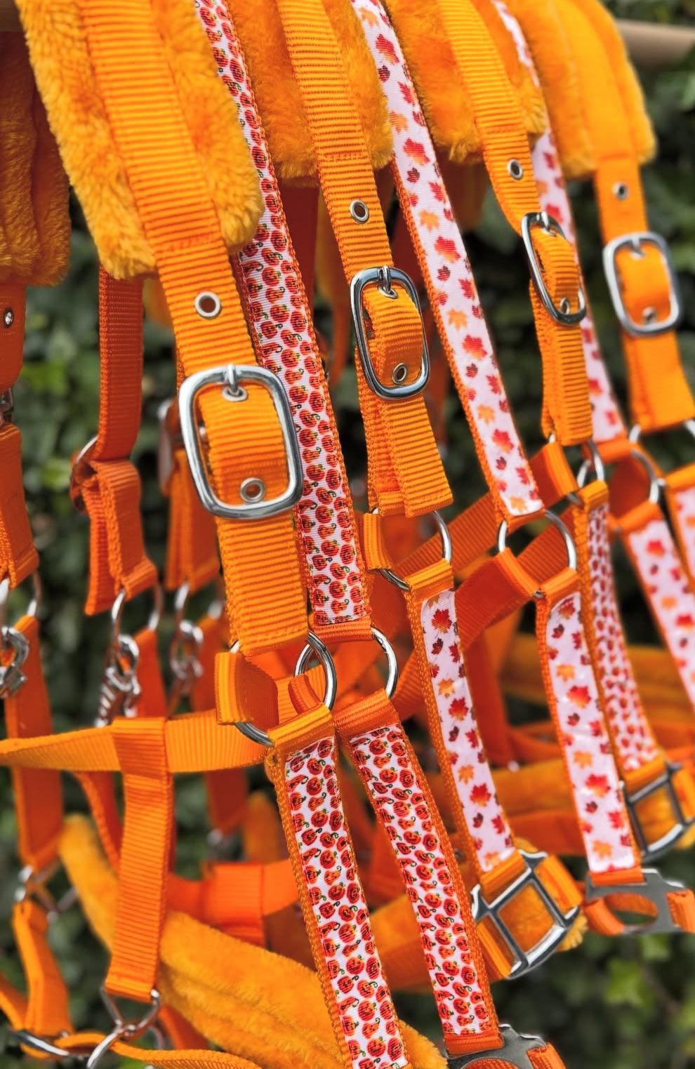 Happy Halsters - Oranje Pompoentjes Halloween halster bont