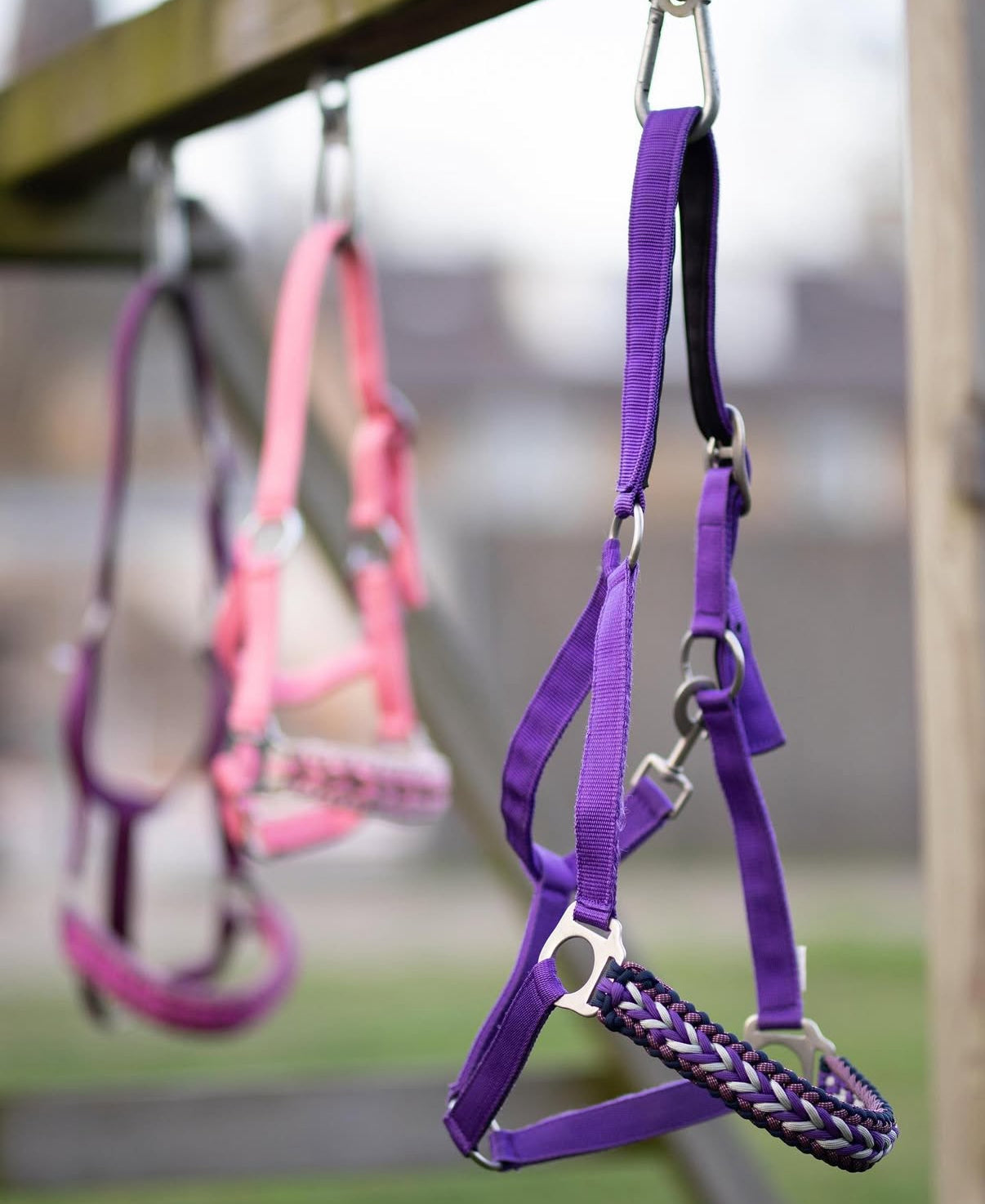 Design Your Own! - Handgemaakte Paardenhalsters - Eigen ontwerp halster