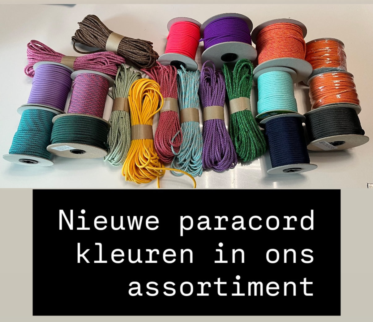 Design Your Own! - Handgemaakte Paardenhalsters - Eigen ontwerp halster