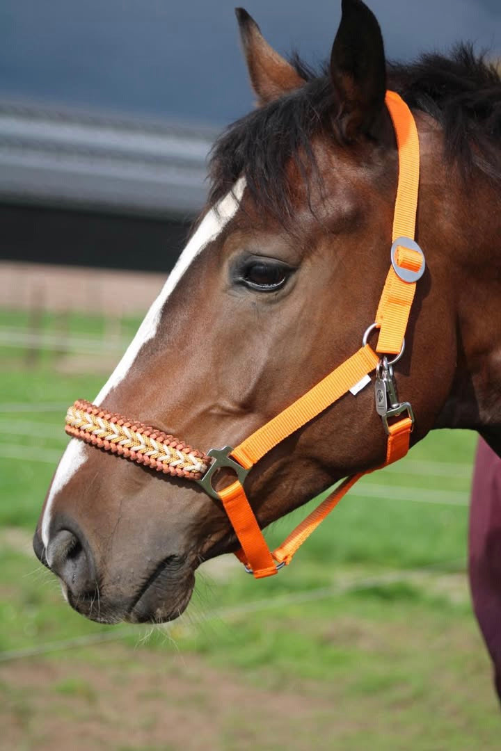 Handgemaakte paardenhalsters - Geknoopt halster ‘Desert Sun’ Oranje/ bruin