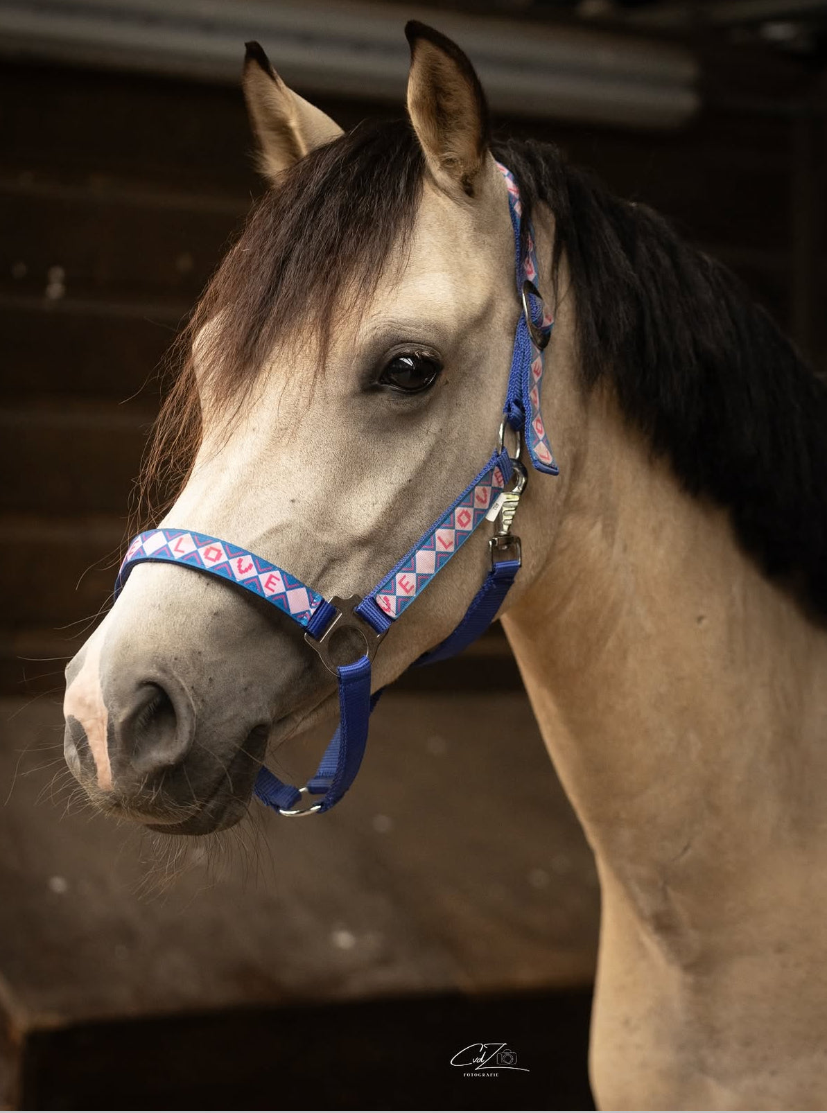 Happy Halsters x FMH - Love is Love Exclusive halter, various colors