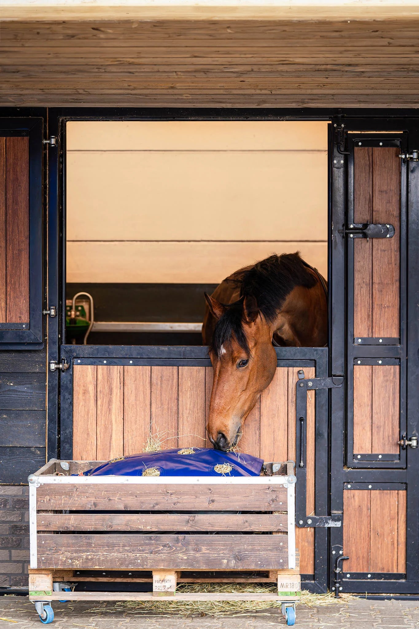 Horse Originals – HayPlay-Knopftasche, mittelgroß