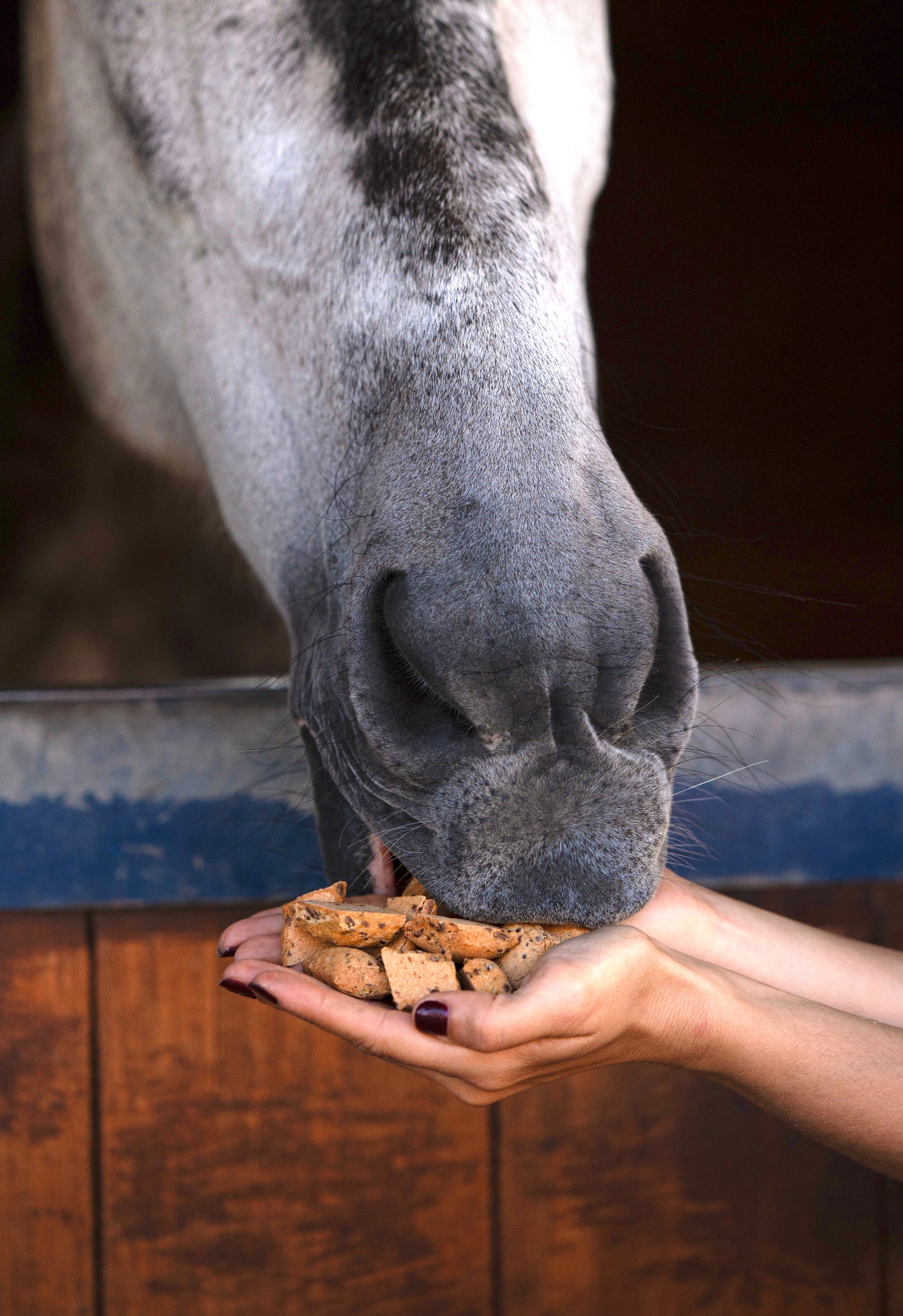 Candy Horse - Paardenkoekjes Hooves in emmertje 1,2L