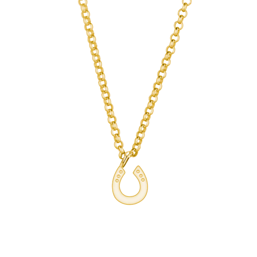 Spring Blossom - Ketting hoefijzer goud/rosé/zilver