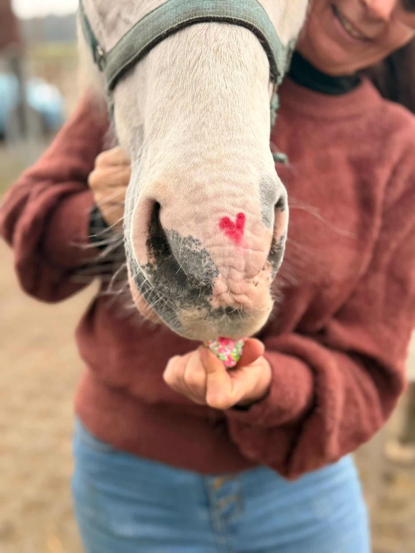 Konska Cukierenka - Pony Bueno Luxe paardenkoekjes Sweethearts 3x (Herbal/Sweet)