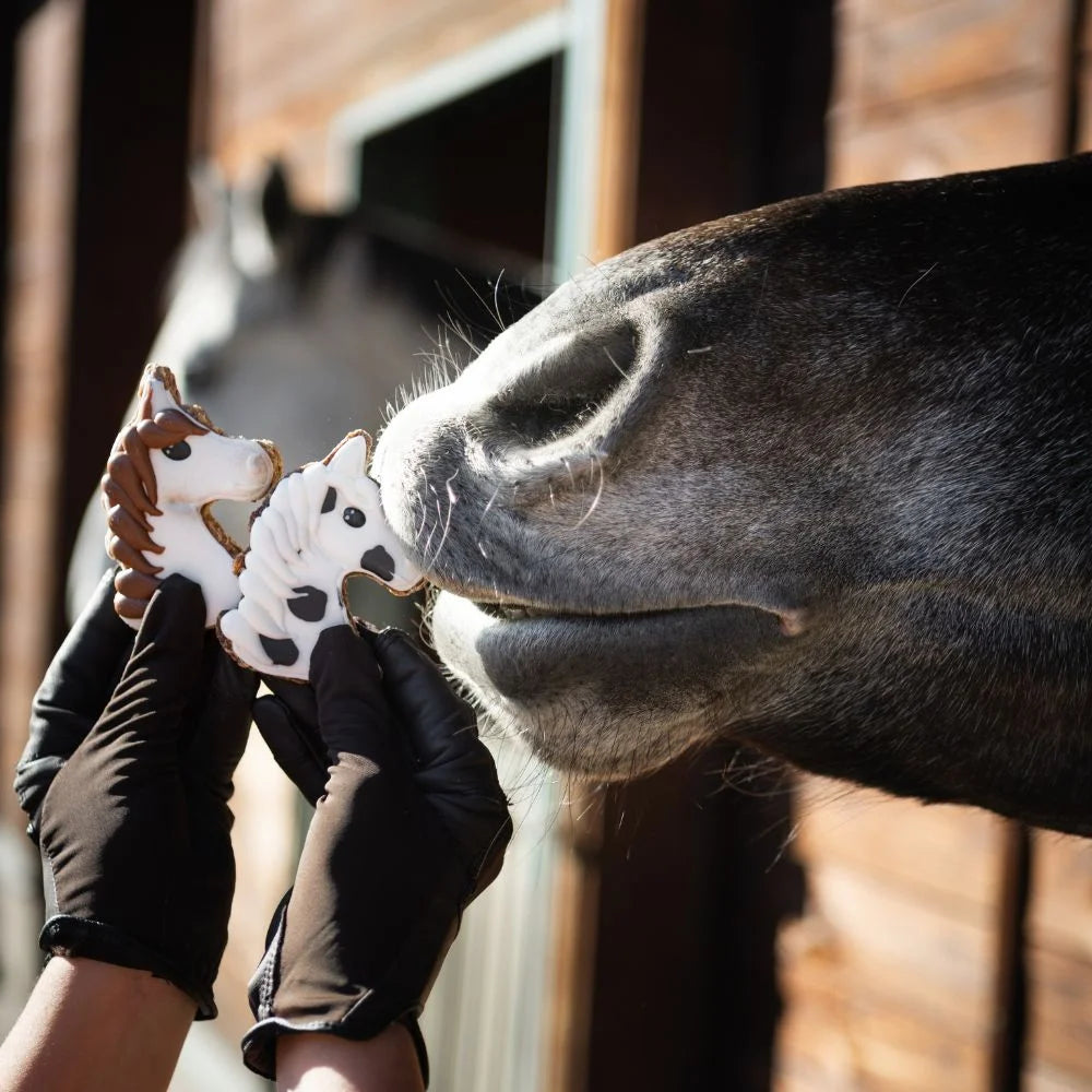 Konska Cukierenka - Luxe paardenkoekje Paardenhoofd Pony Portraits